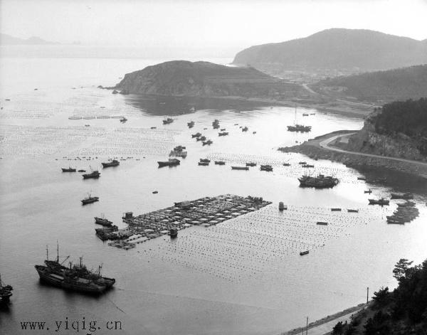 ԭϣǵ - 򶫺ڰӰ - 򶫺ڰӰ