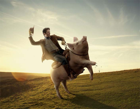 ɴľ˴ԵƬͼ - oʿ - oS