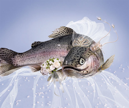 ɴľ˴ԵƬͼ - oʿ - oS