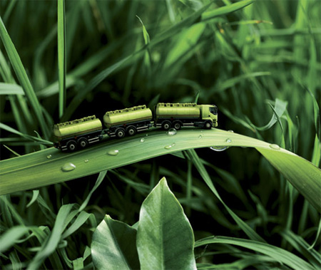 ɴľ˴ԵƬͼ - oʿ - oS