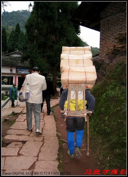 ԭӰɽϵͻ -  - 񲩿