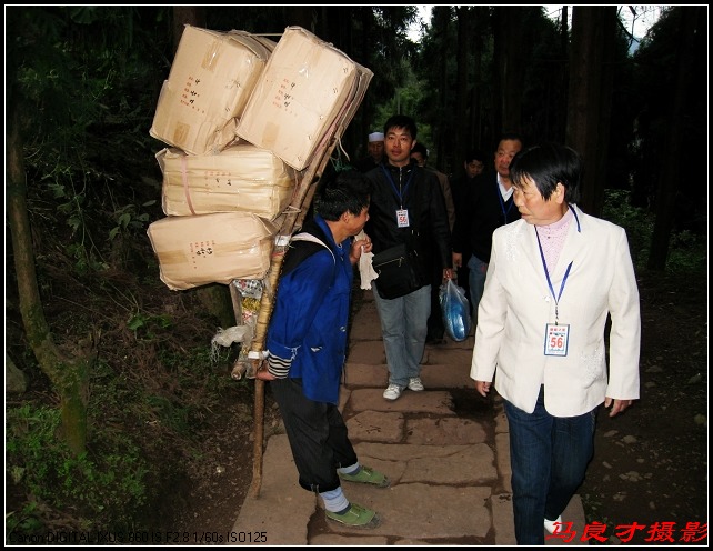 ԭӰɽϵͻ -  - 񲩿