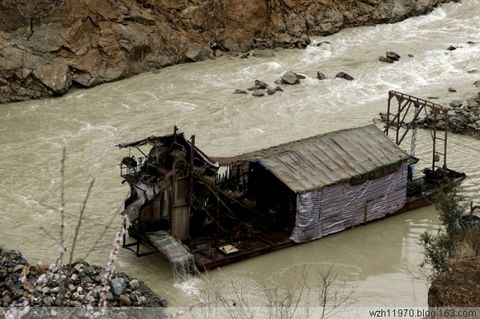 在那黄金盛开的地方 - 一起过,健康网络生活 - 一起过 在那黄金盛开的地方 - 一起过,健康网络生活 - 一起过