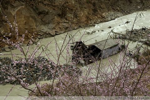 在那黄金盛开的地方 - 一起过,健康网络生活 - 一起过 在那黄金盛开的地方 - 一起过,健康网络生活 - 一起过