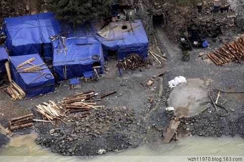 在那黄金盛开的地方 - 一起过,健康网络生活 - 一起过 在那黄金盛开的地方 - 一起过,健康网络生活 - 一起过
