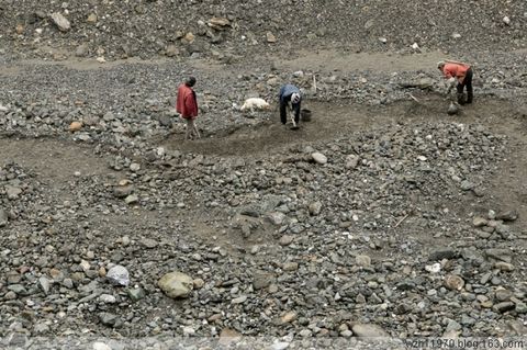 在那黄金盛开的地方 - 一起过,健康网络生活 - 一起过 在那黄金盛开的地方 - 一起过,健康网络生活 - 一起过