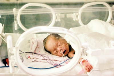 С˫̥Ȼ 첲ֻĴָ(ͼ)