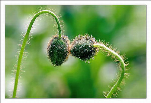 ¡˲䣡(ͼ) - һ - һ