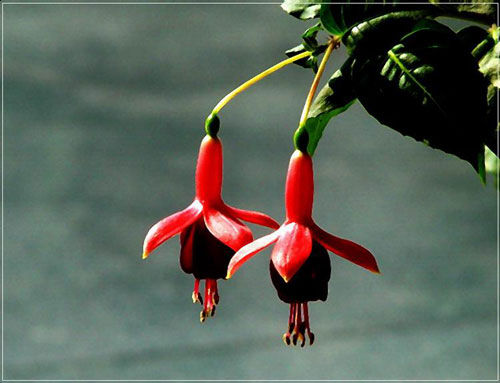 ¡˲䣡(ͼ) - һ - һ