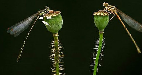 ¡˲䣡(ͼ) - һ - һ