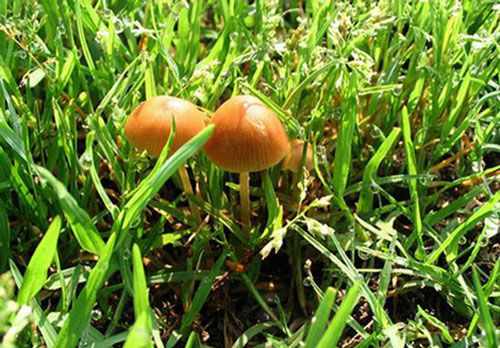 ¡˲䣡(ͼ) - һ - һ