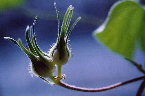 ¡˲䣡(ͼ) - һ - һ