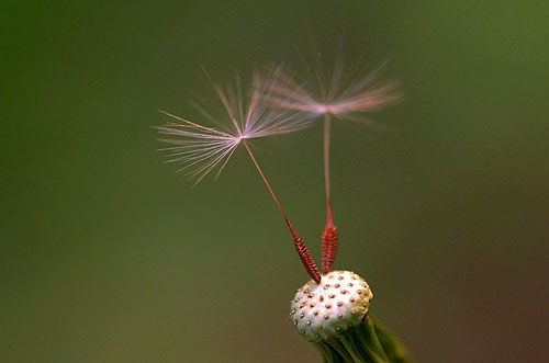 ¡˲䣡(ͼ) - һ - һ