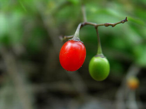 ¡˲䣡(ͼ) - һ - һ