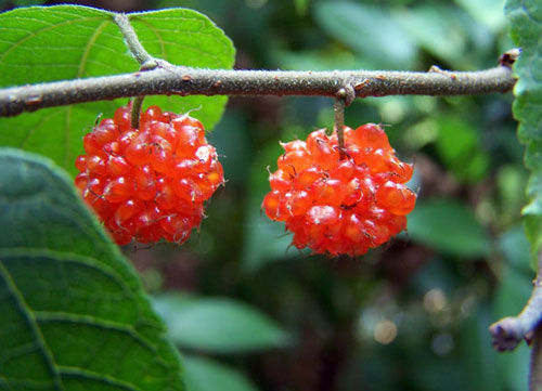 ¡˲䣡(ͼ) - һ - һ