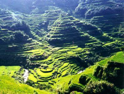 世界十大被埋没的奇迹 - 2006yaoxing - 姚星 世界十大被埋没的奇迹 - 2006yaoxing - 姚星