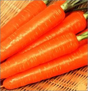 吃这四种蔬菜年轻10岁 - 蒸發到兲嘡的爱 - 蒸發到兲嘡的爱 吃这四种蔬菜年轻10岁 - 蒸發到兲嘡的爱 - 蒸發到兲嘡的爱