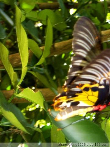 ԭ ϼţ滨ݣͼ - گ - گ꿤β__ŷ