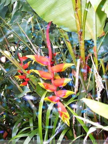 ԭ ϼţ滨ݣͼ - گ - گ꿤β__ŷ