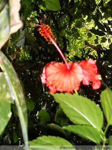 ԭ ϼţ滨ݣͼ - گ - گ꿤β__ŷ