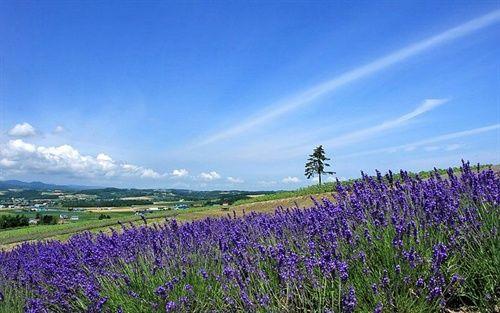 蜜月旅行就要私密和甜蜜