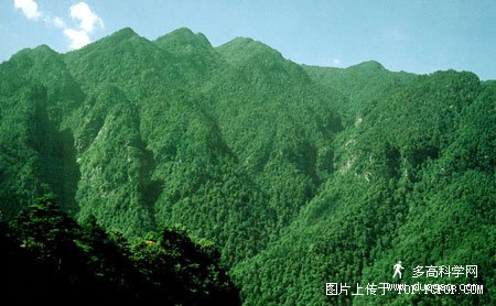 з羰ʵƬ - һ - ҵĲ