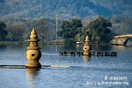 з羰ʵƬ - һ - ҵĲ