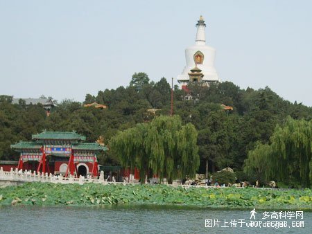 з羰ʵƬ - һ - ҵĲ