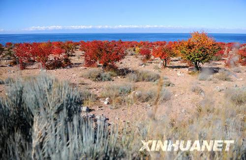 1018ڼ˹˹̹˺ȼ¹ȵ˺