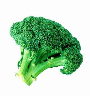 16ܽѪǵ߲ - ɺ - ɺ̻ӭѽָ!!