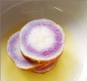 16ܽѪǵ߲ - ɺ - ɺ̻ӭѽָ!!