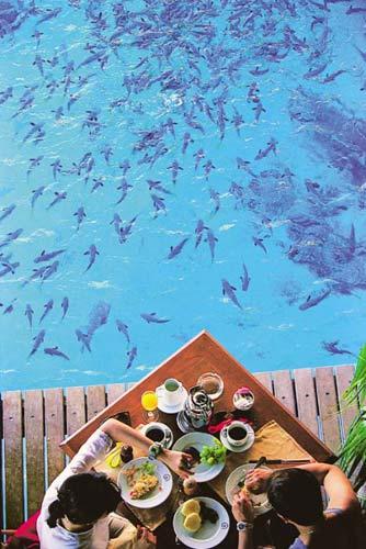 在美丽的大溪地与大自然亲密接触