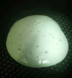 [ת] ְֽʳϵСʮŵŶ - feifei0913 -         