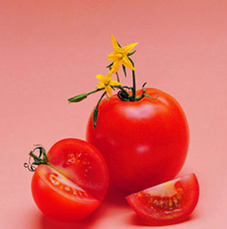 ÿ4Сϰߣ֪ˮ - CatheRine˹ - 