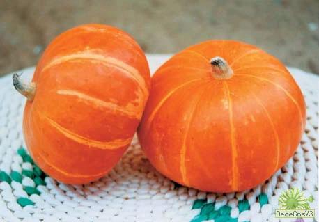 南瓜麦片粥 - DYM - DYM的菜谱 南瓜麦片粥 - DYM - DYM的菜谱