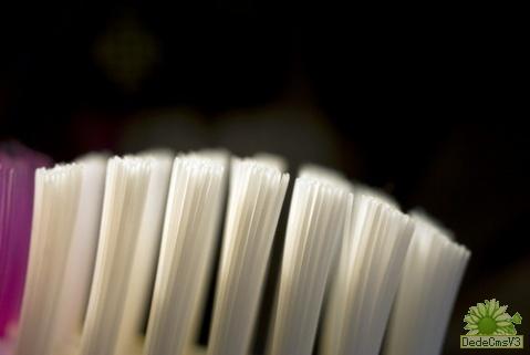 ˢʹö೤ʱһΣ - Ҽγ - ҽҼγ