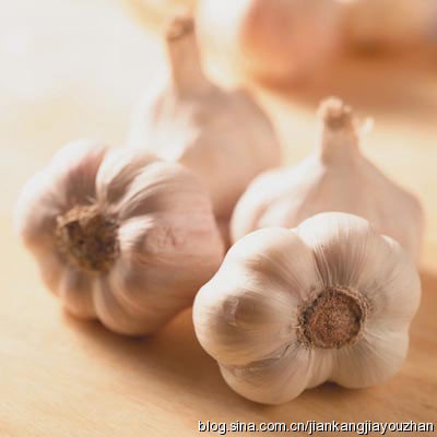 三类人群不可吃蒜 - 爱·摄影工作室 - 爱·摄影工作室 三类人群不可吃蒜 - 爱·摄影工作室 - 爱·摄影工作室