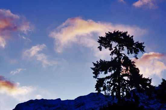 四川冬季旅游多条线路各领风情