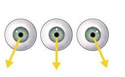 ʶ𾭹PSαƬ - Ǹɱ - 