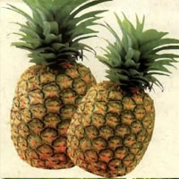 女人常吃八种水果变“万人迷” - 山东嘉康利 牟昆明 - 山东嘉康利牟昆明 18669731985