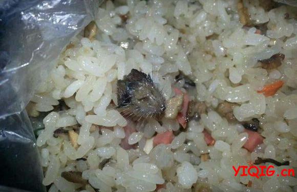 中学早餐惊现老鼠头 食品安全卫生值得忧虑