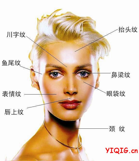 脸上的皱纹预示的疾病