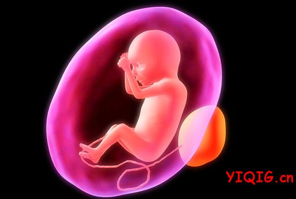 X线检查会影响胎儿吗 对胎儿的危害