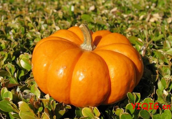 可以暖胃的蔬菜水果及其功效