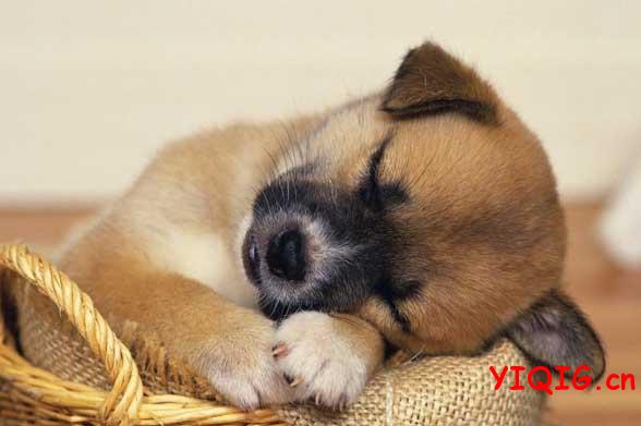 性生活太频繁导致男性不育 如何判断性生活过度