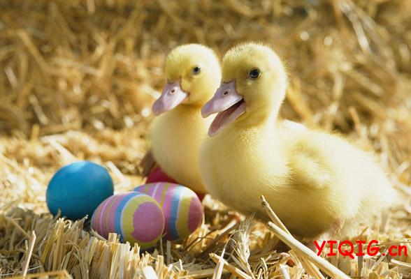 立夏的食俗及养生方法介绍