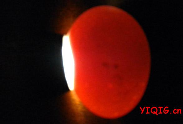 这个是没有受精的蛋,发出臭味了才扔了5个